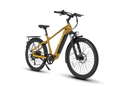 ENVO D50 Electric Bike