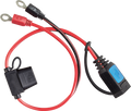 Victron M6/M8 Eyelet Connector With Fuse