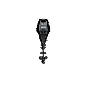 Outboard SUZUKI DF9.9B