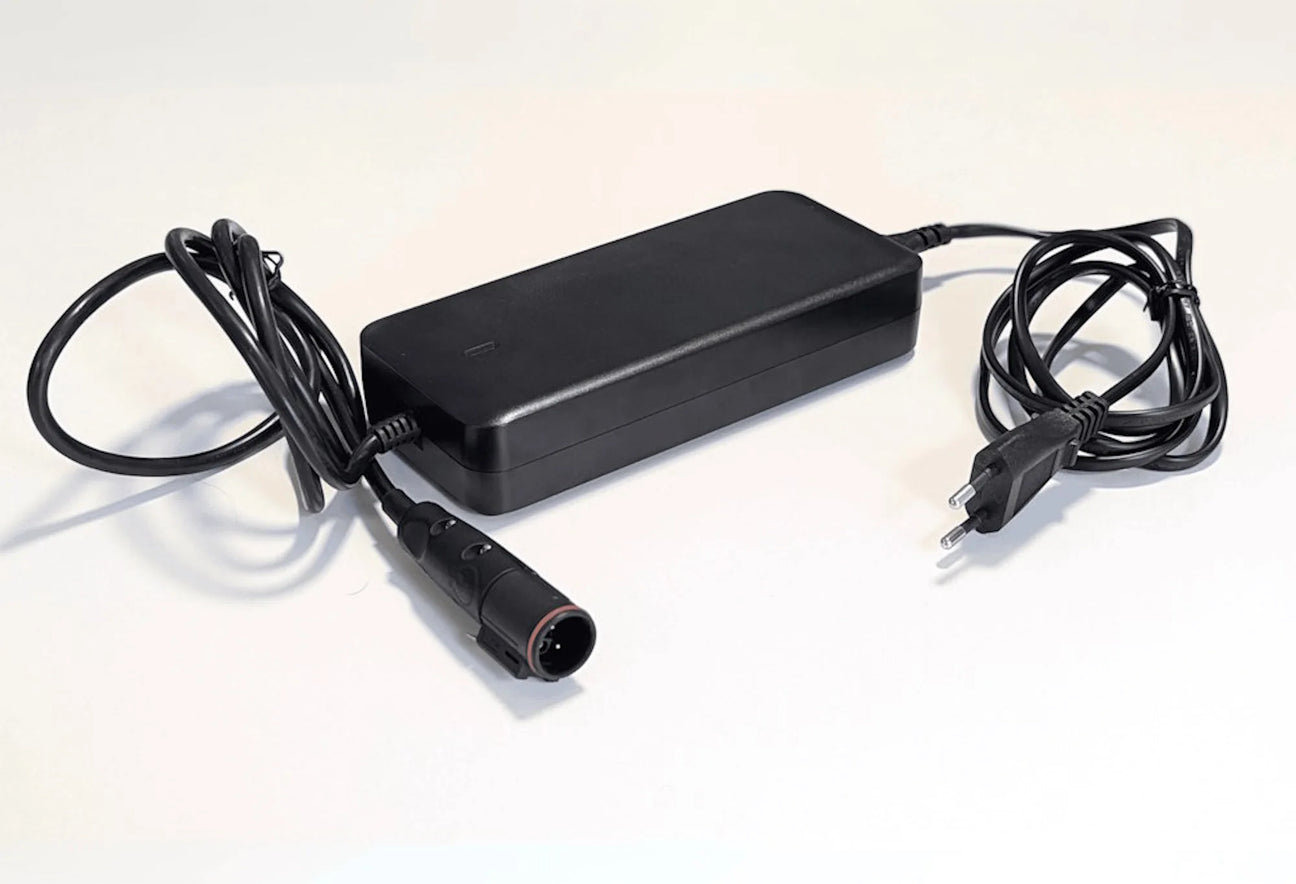220V Battery charger for TEMO 1000 