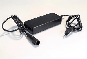 220V Battery charger for TEMO 1000 