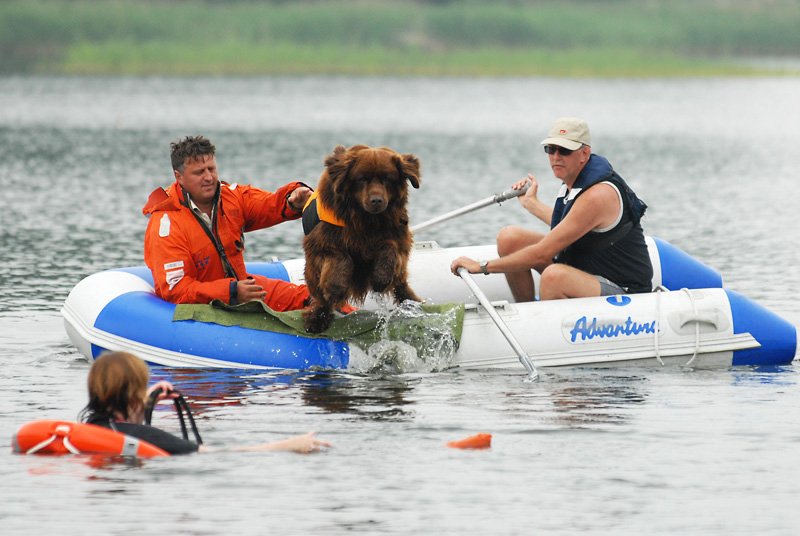 Boat Adventure Arta A-280-330 on Water