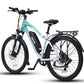 ENVO D35 Electric Bike (Rear view)