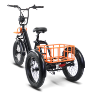 ENVO Fat Tire Electric Flex Trike (Rear view)