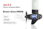 Electric outboard parsun joy 6.0 direct drive pmsm