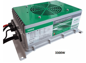 RIM Drive Charger 48V 3300W