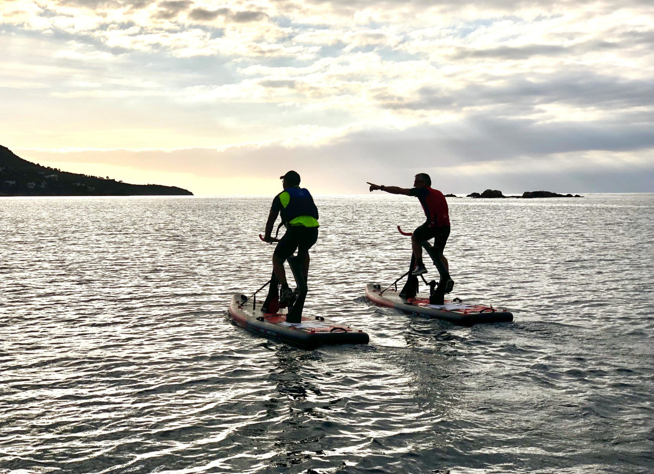 Buy Surf Fitness by Redsharks Bikes and other accessories in Canada and the United States.