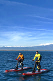 Buy Surf Fitness by Redsharks Bikes and other accessories in Canada and the United States.
