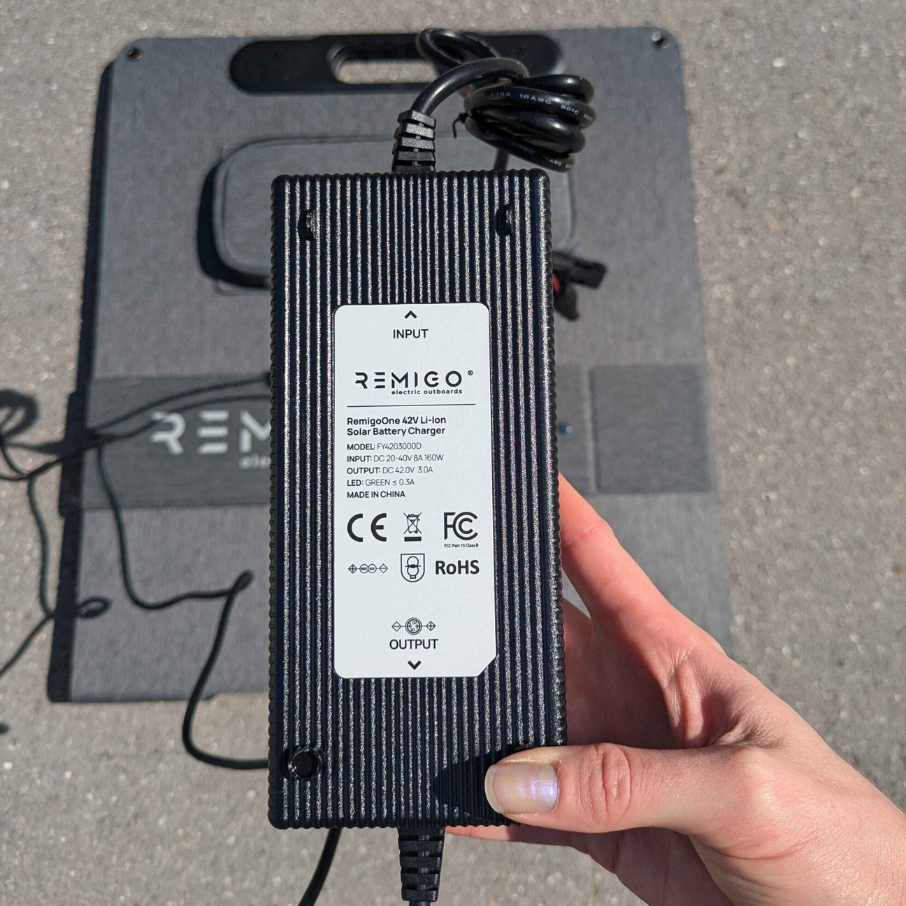 Remigo Solar Setup 200W Charger