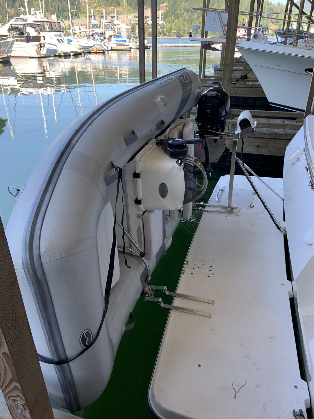 SeaWise Electric Davit System
