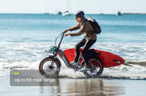 eBike Foldable Step-Through Aventon Sinch.2
