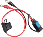 Victron M6/M8 Eyelet Connector Fuse