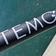 Portable Electric Outboard TEMO 450 Carbon