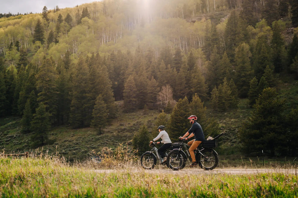 Ebike Aventon Step-Through Aventure.2