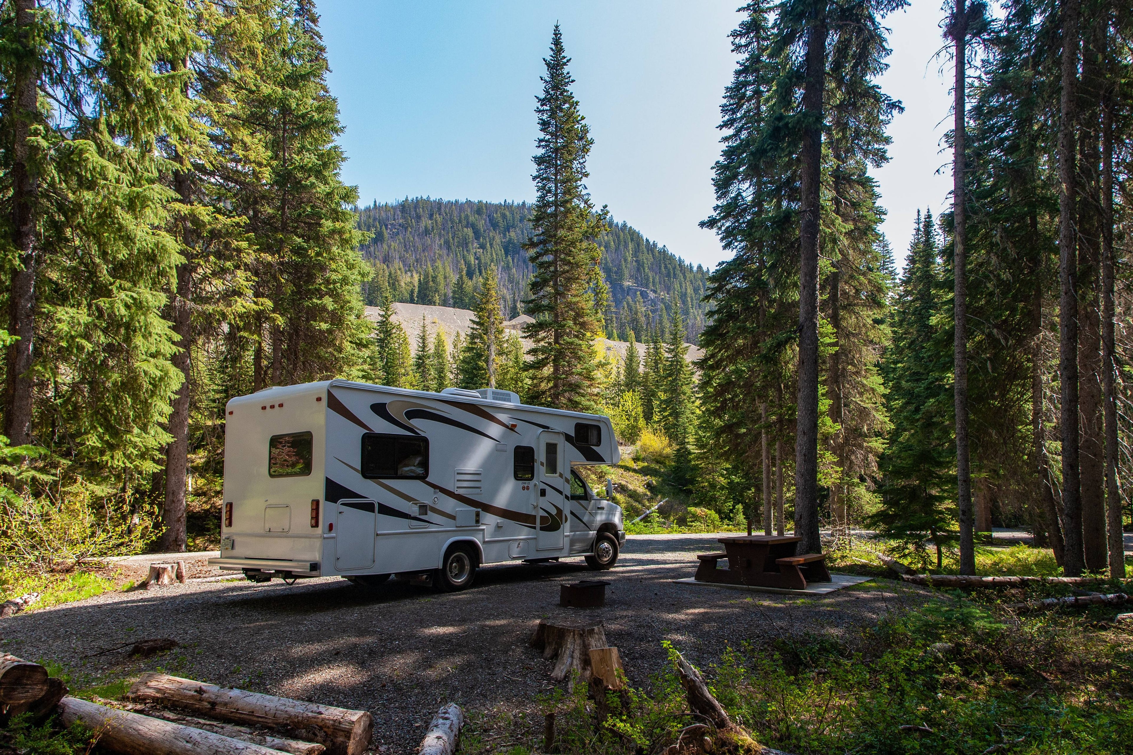White RV parked on a gravel road surrounded by tall trees in a forest setting.