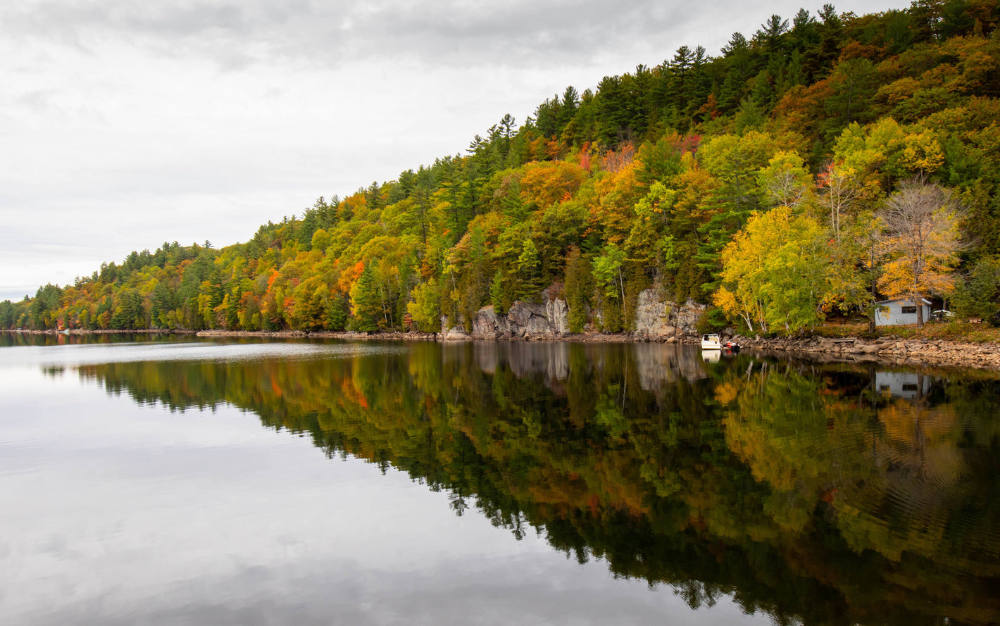 Lake with trees displaying autumn colors on a cloudy day