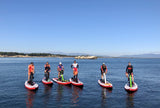 Water Bike Redshark Surf Enjoy