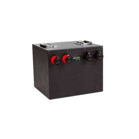 buy Battery LiFePO4 48V 60Ah in canada