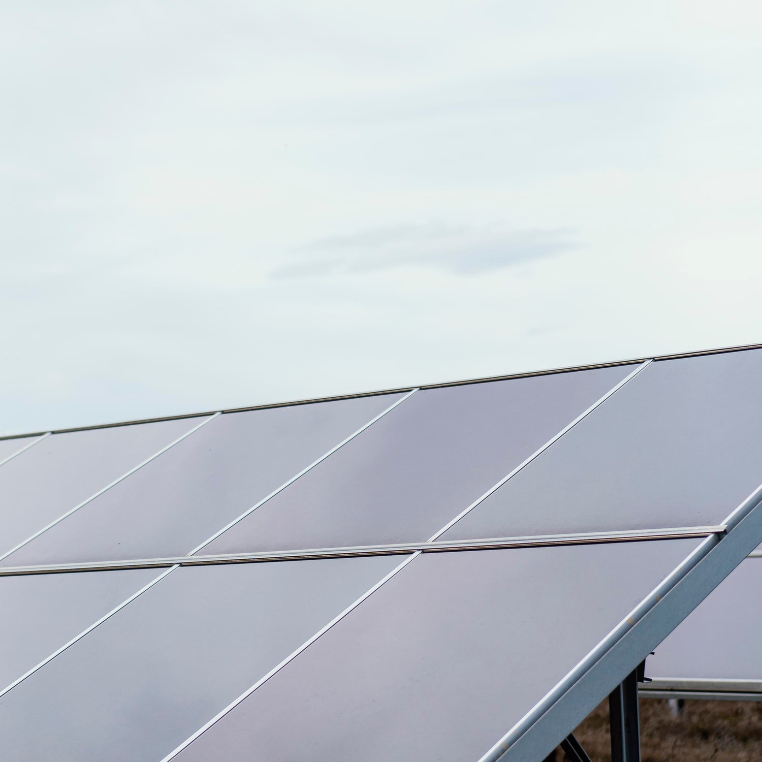 Row of solar panels against a clear sky
