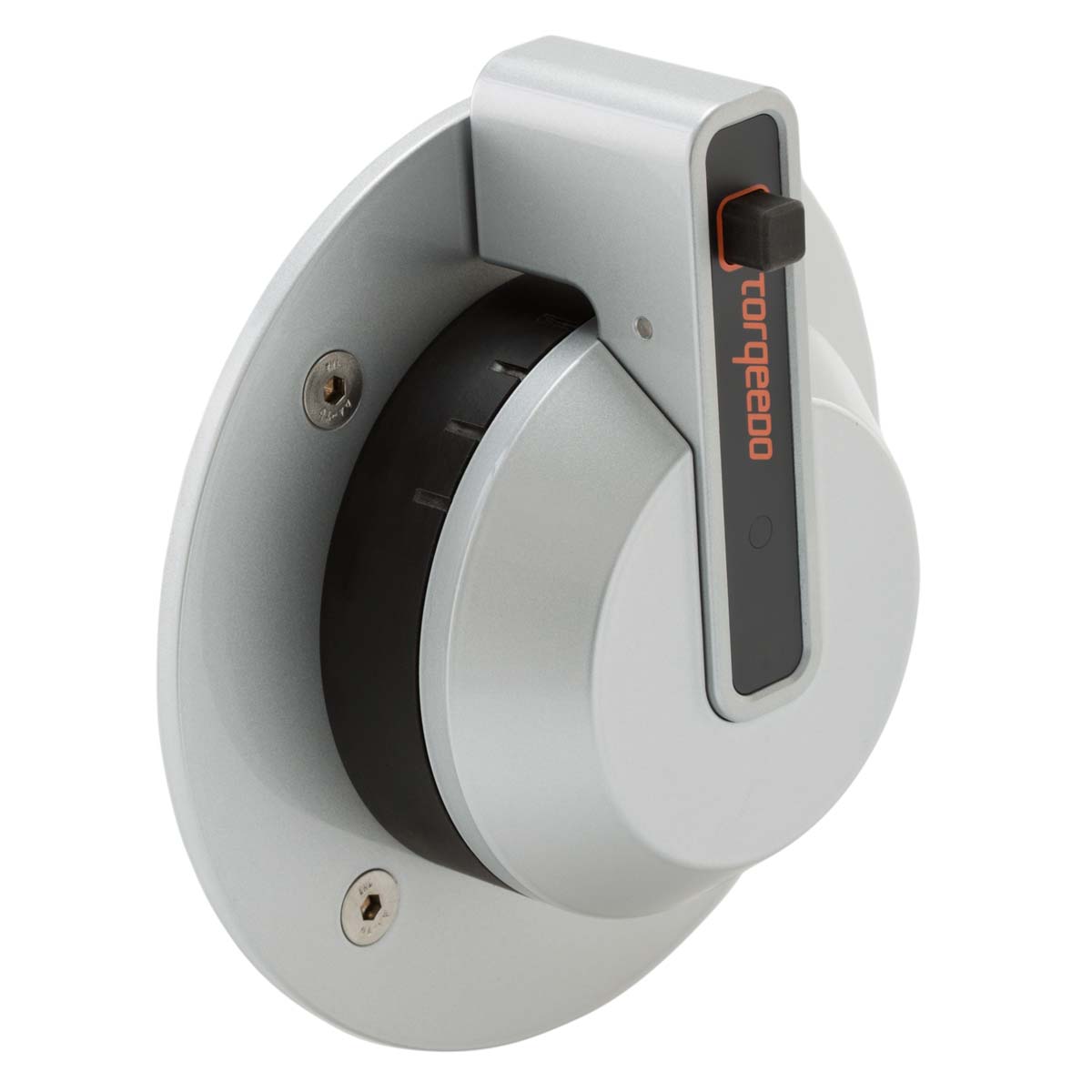 Torqeedo Throttle - sail side mounting