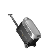 Power Station EcoFlow DELTA PRO
