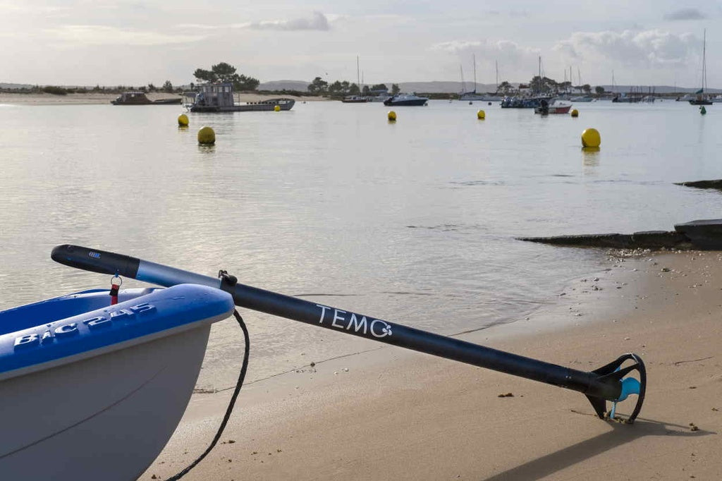Portable Electric Outboard TEMO 450 + FREE BAG