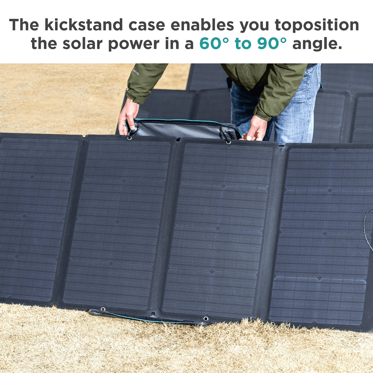Portable Solar Panel EcoFlow 160W