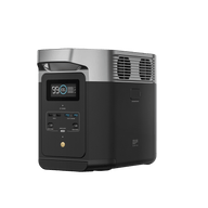 Power Station EcoFlow DELTA 2