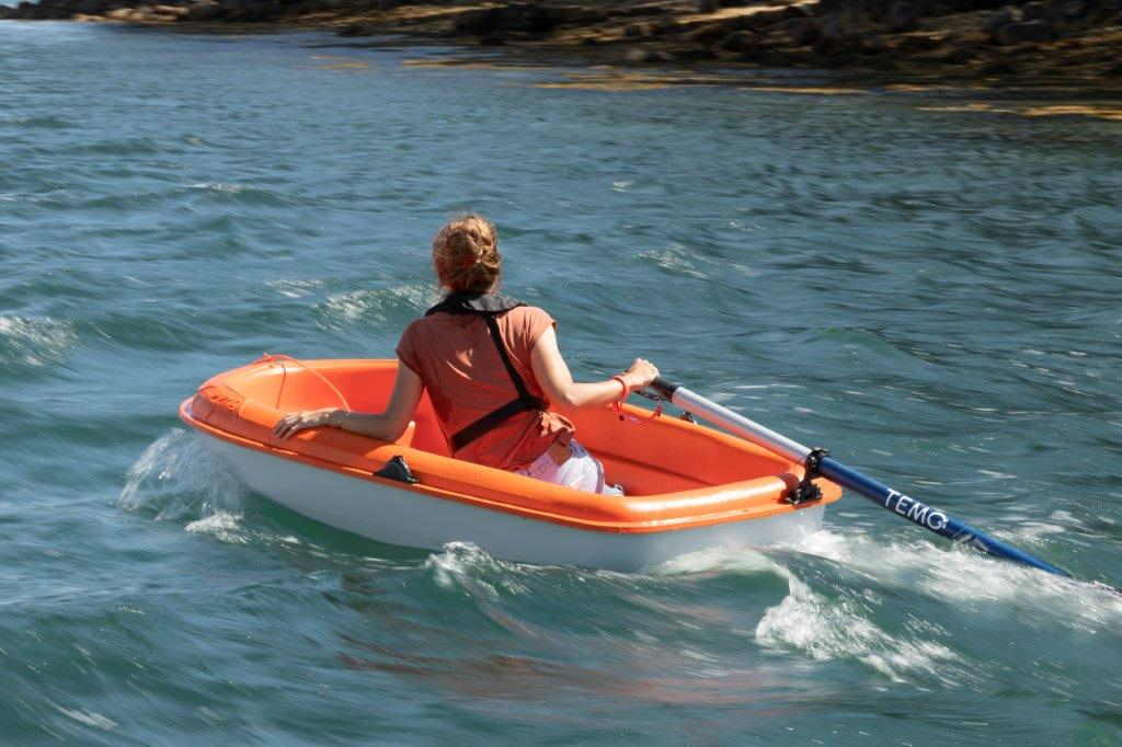 Portable Electric Outboard TEMO 450 + FREE BAG